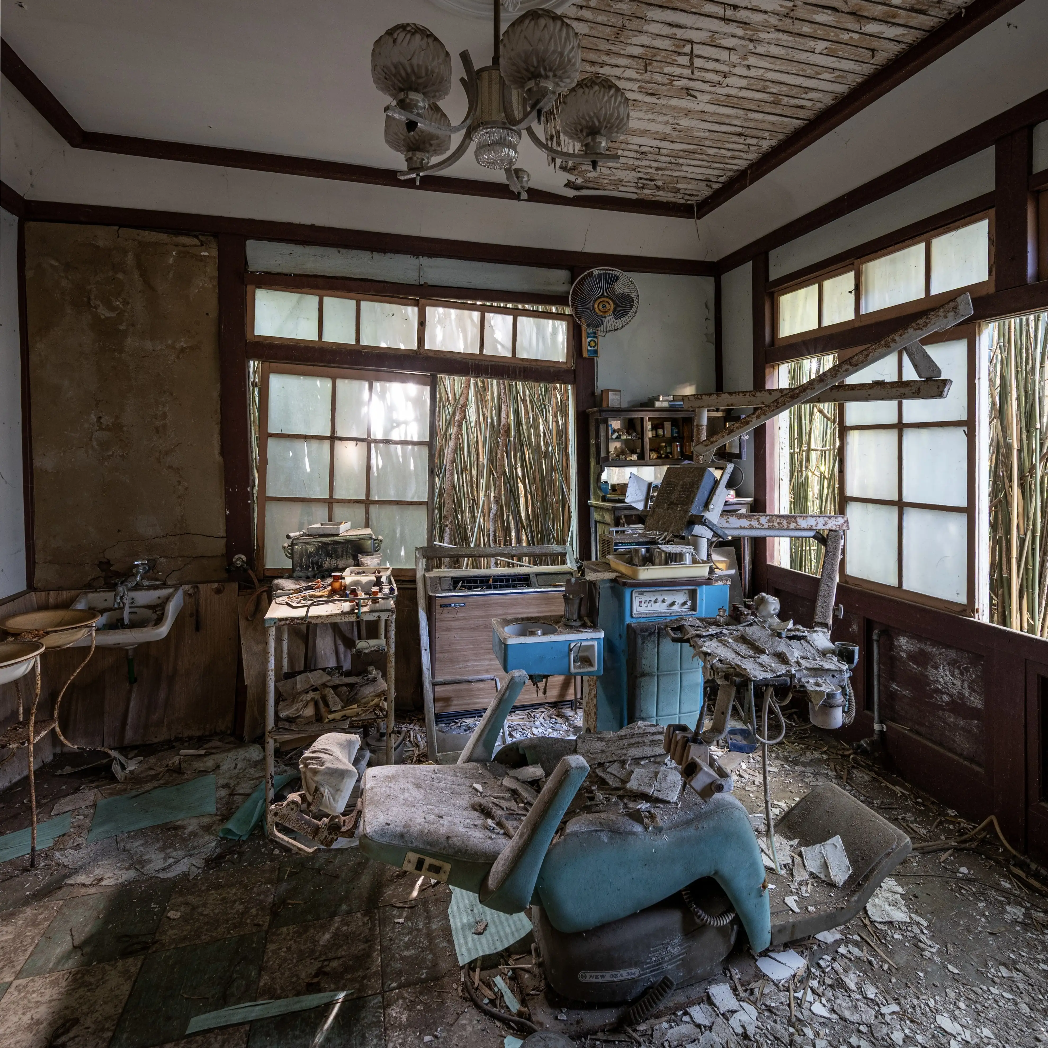 竹林に呑まれた歯科医院